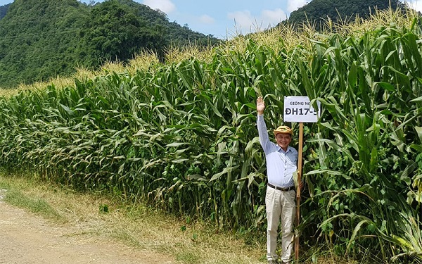 ngo-sinh-khoi-dh-175