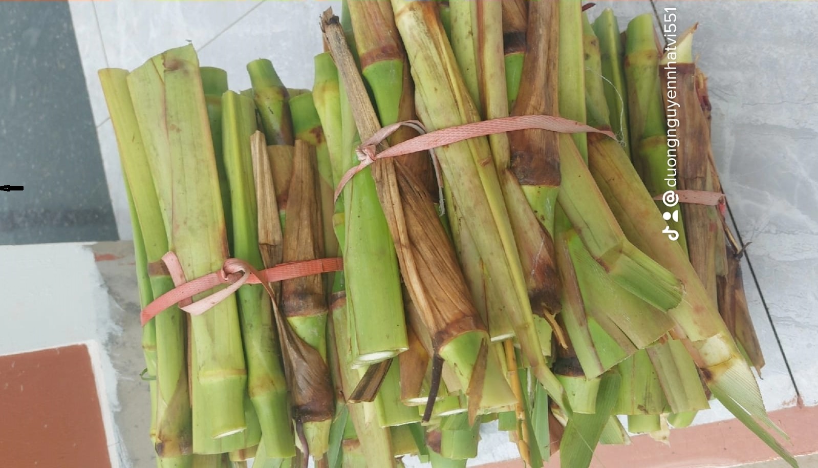 328830289_676964670889164_8918406271549861741_n