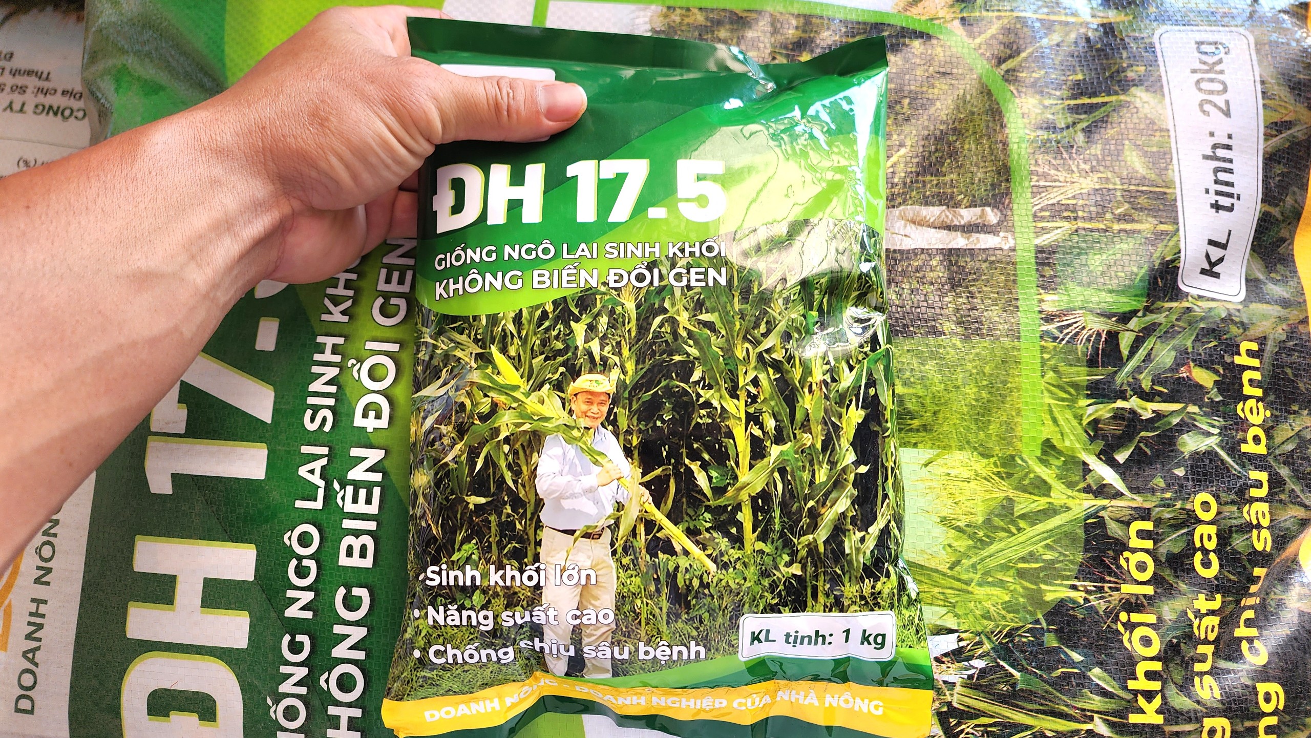 ngo sinh khoi dh 175